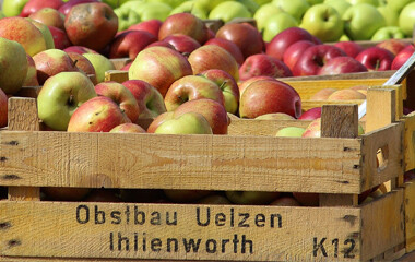 Äpfel die in verschiedene Holz Kisten verpackt sind