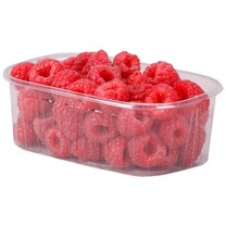 Beerenschalen aus Kunststoff 250 g