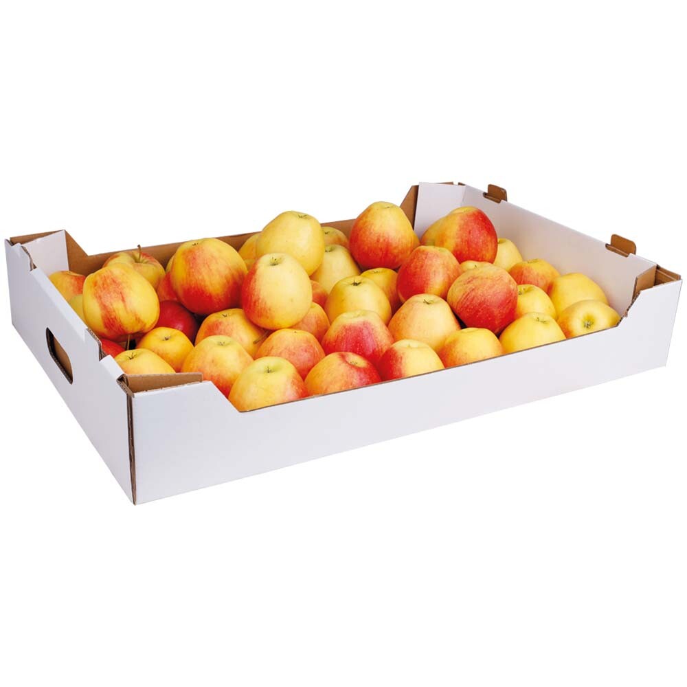 Obstflachsteigen