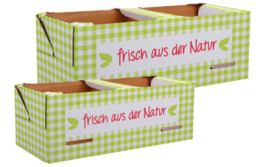 Zwei Obstkörbe mit einem natürlichen weiß grünen gemusterten Muster