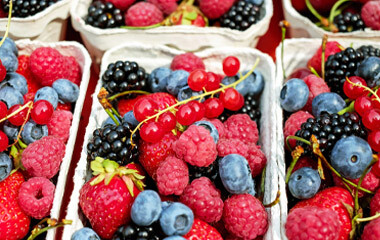 Viele abgestellte Beerenschalen mit Himbeeren, Erdbeeren, Brombeeren, Heidebeeren und Preiselbeeren