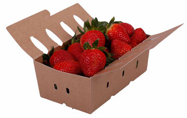 Beerenschale mit anhängendem Deckel und Erdbeeren gefüllt