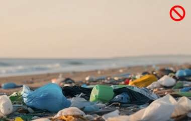 Plastikmüll gelangt in die Umwelt