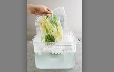 Eine Plastik Box die mit Wasser befüllt ist. Darin schwimmen Vakuumbeutel
