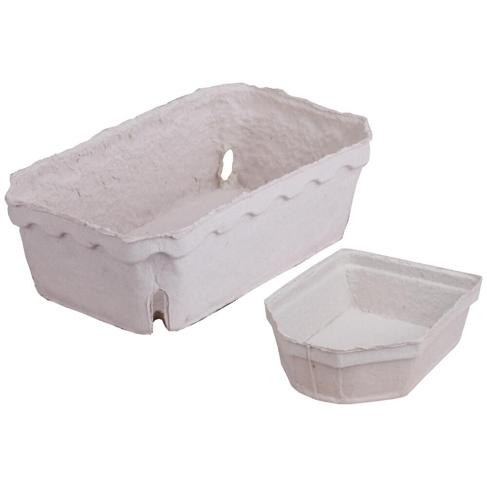 200 Beerenschalen Früchteschalen Verkaufsschalen für 1000g Obst Bio Holzschliff 200 Beerenschalen Früchteschalen Verkaufsschalen für 1000g Obst Bio Holzschliff
