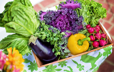 Präsentkorb mit Gemüse und Obst befüllt und von oben abfotografiert